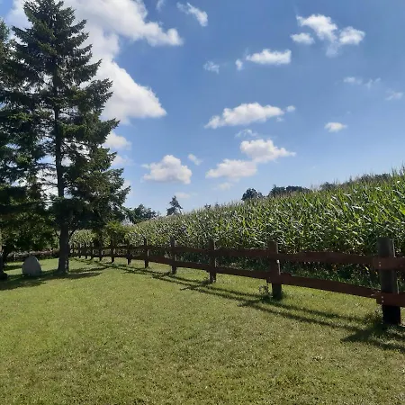 Ferienwohnung Wald Und Weitblick Dreschvitz Exterior photo