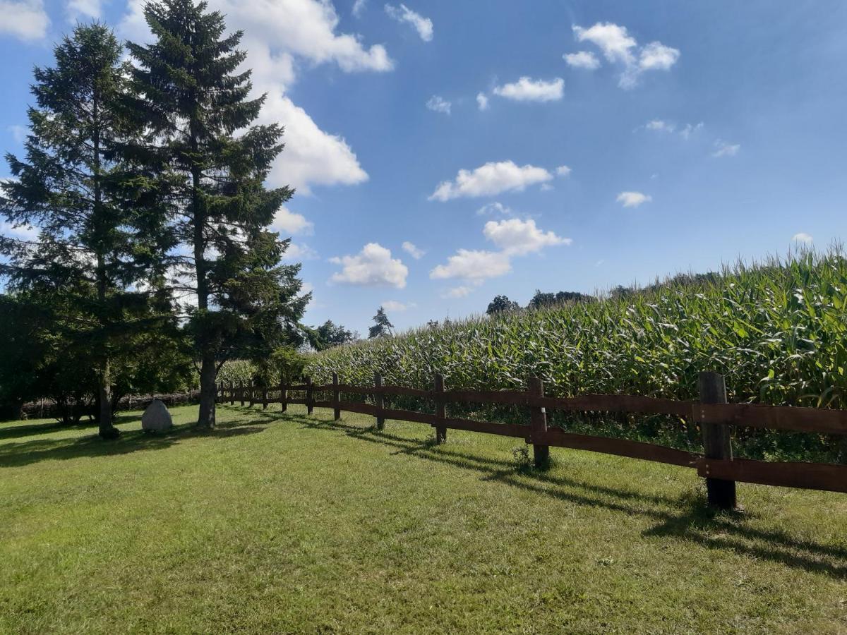 Wald Und Weitblick Dreschvitz